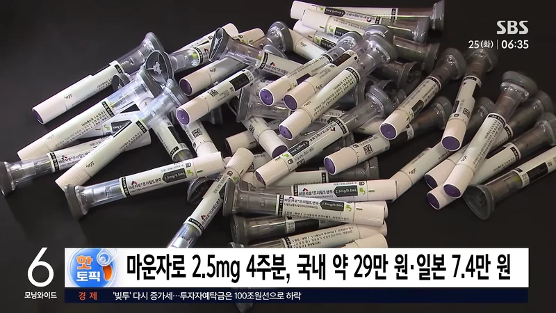 위고비 싸게 사와도 '유해 의약품' 반입제한-3