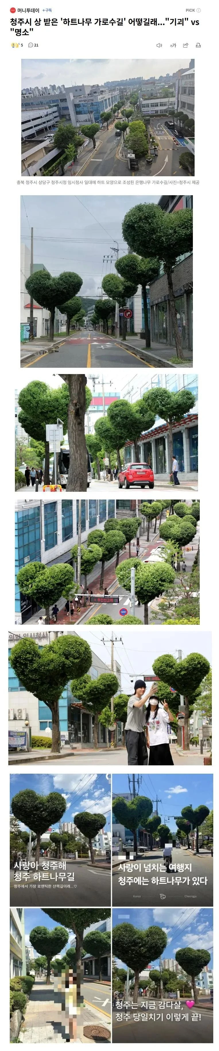 청주시의 가로수길