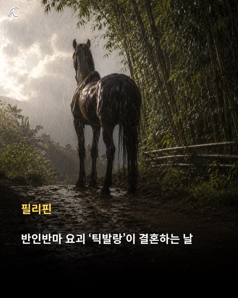 해 뜬 날 비 오면 한국은 '호랑이 장가가는 날', 다른 나라는 뭐라고 할까?-12