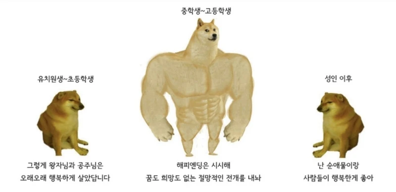 나이먹으면 바뀌는 성향.