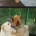 오이와 여주를 찍었을 뿐인 트윗