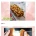 일본인들 국뽕 채워주는 방송