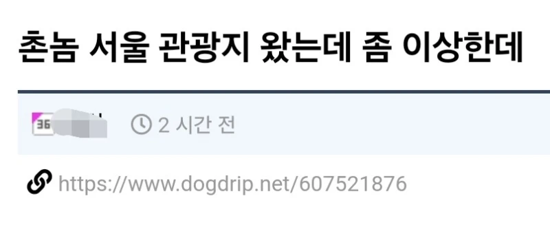 서울관광와서 실망한 사람