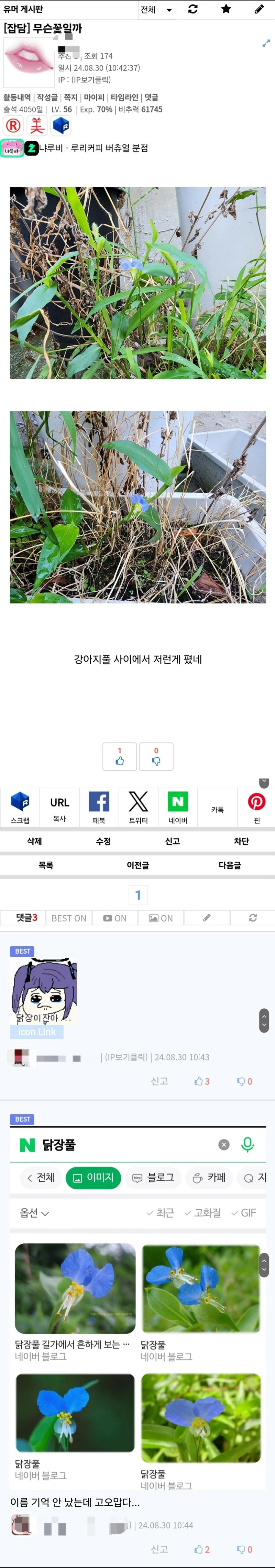 닭장이잖아..