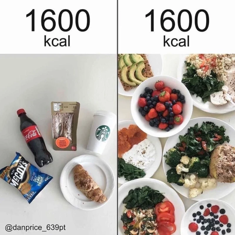 1600kcal 비교체감