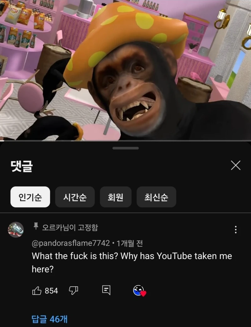 유투브 알고리즘의 파도가 무서운 이유