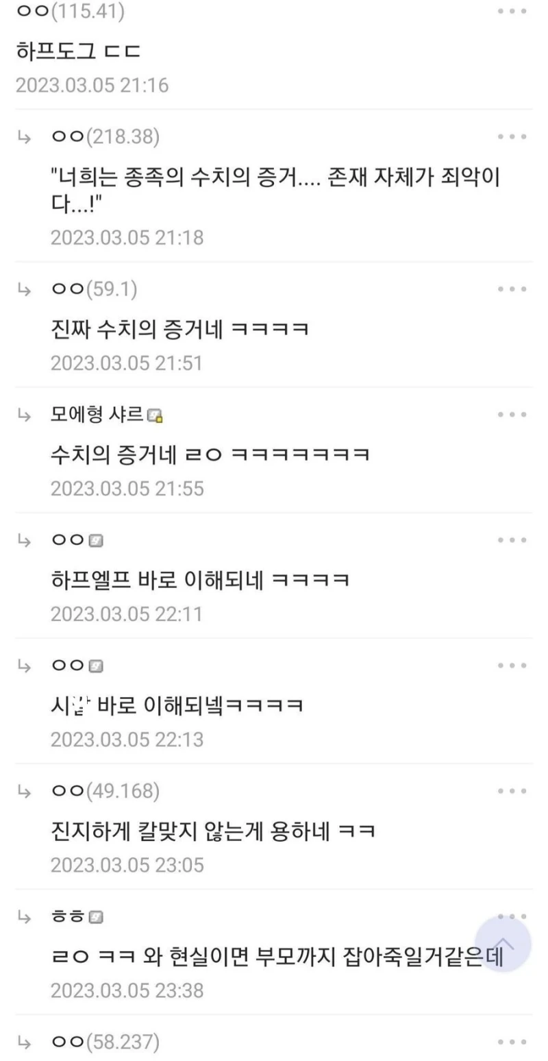 하프엘프가 천대받는 이유-2