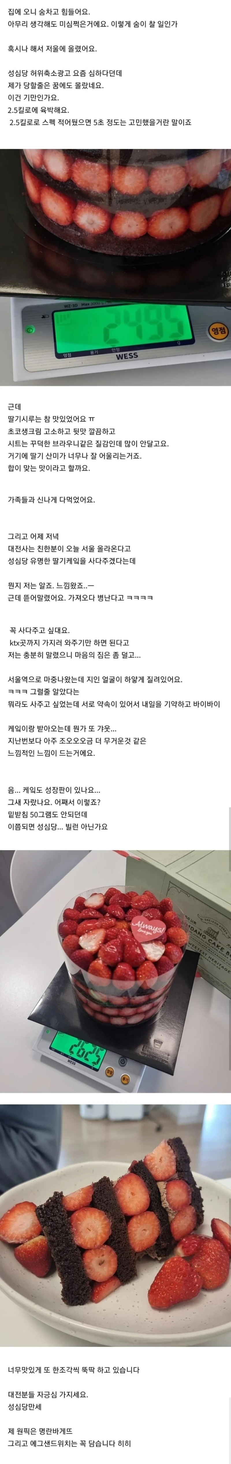 대전 성심당 논란터짐