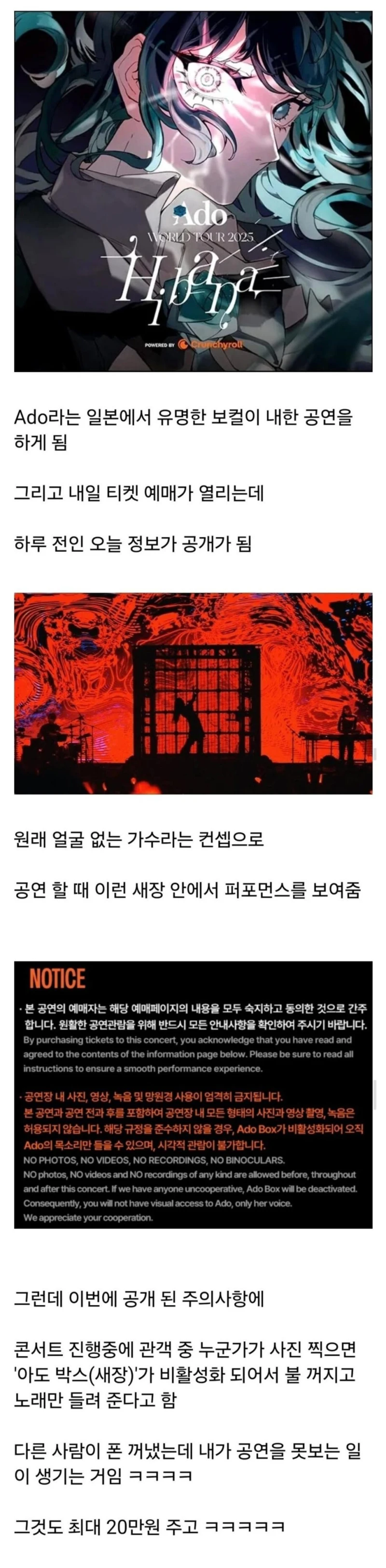 공연중 한명이라도 사진찍으면 공연 불 꺼진다는 ado 내한공연