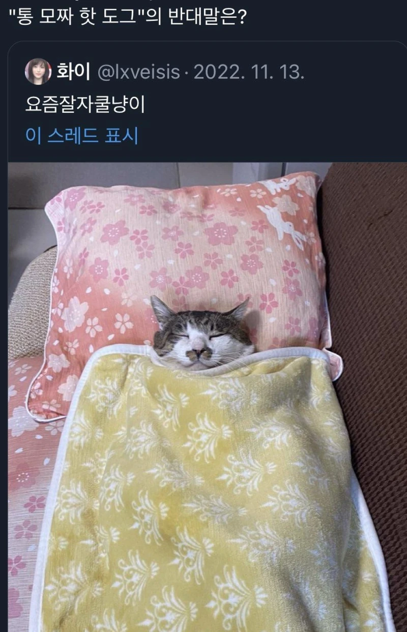 통모짜핫도그의 반대말은?