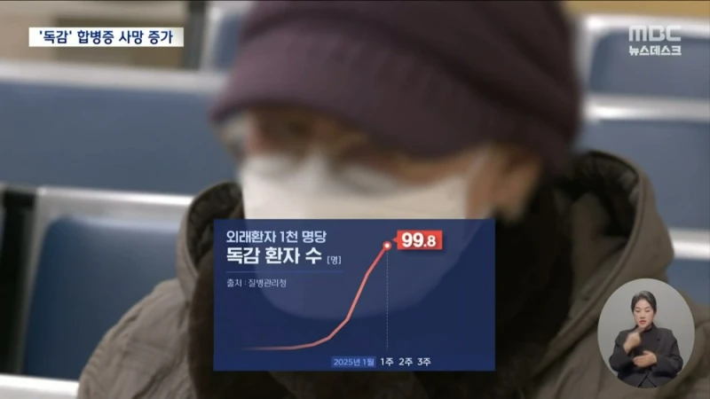 독감 합병증 사망 증가