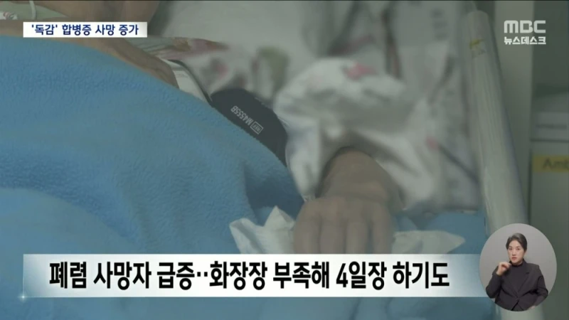 독감 합병증 사망 증가-3