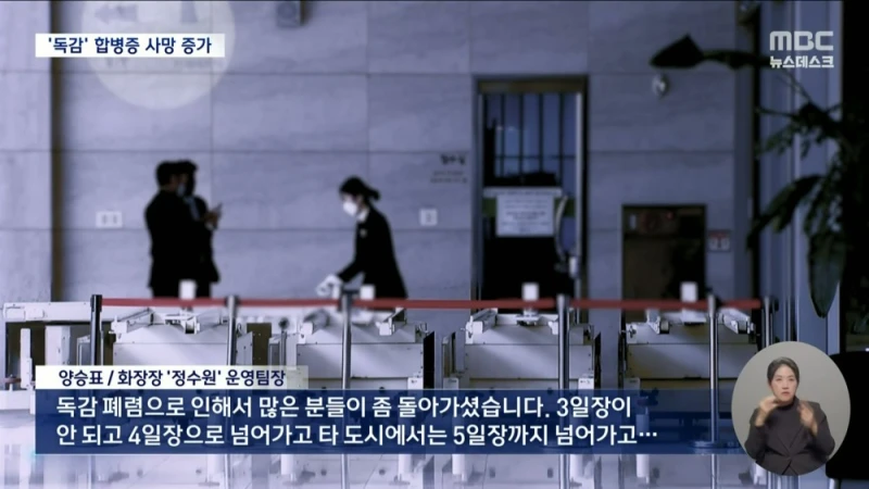 독감 합병증 사망 증가-4