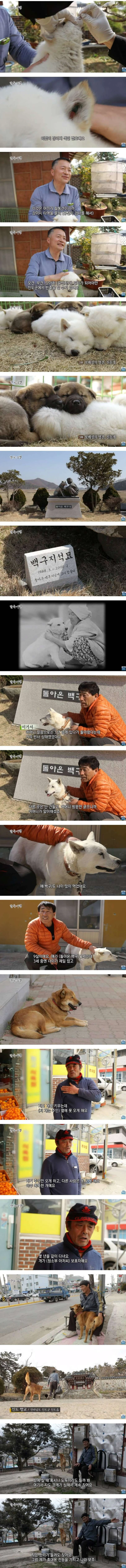 세계 명견으로 등록되어 있는 우리나라 토종견-2