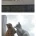고양이 부부의 키스.JPG