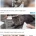 고양이와 인간 역전의순간