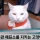 요새 일자리 구하기가 빡센 이유