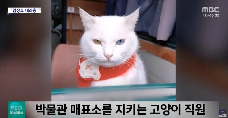 요새 일자리 구하기가 빡센 이유