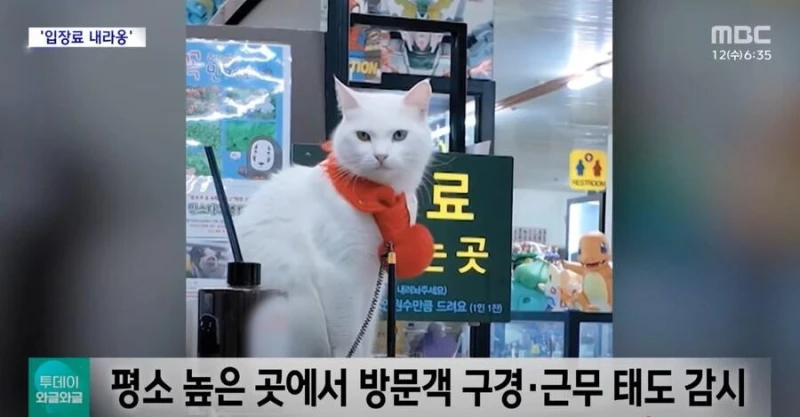 요새 일자리 구하기가 빡센 이유-2
