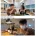 성탄절 애인대행 198만원