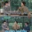 결혼식장 신부대기실에 난데없이 송승헌이 와서 신부랑 같이 운다?