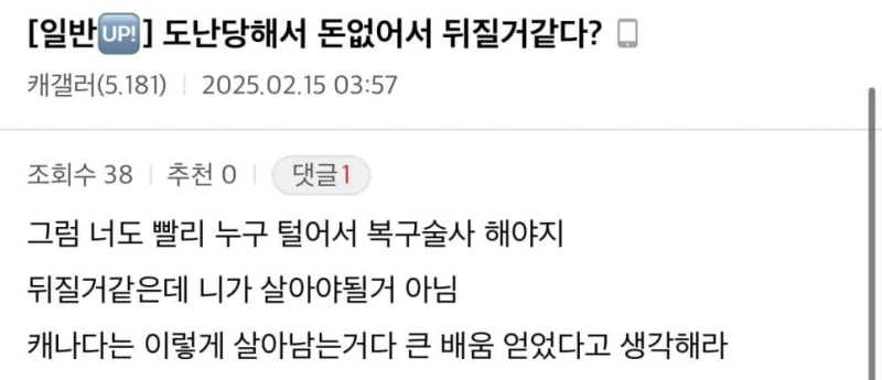 캐나다 워홀갔다가 일주일만에 전재산 털린 디씨인-7