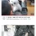 매일 군대간 주인 기다리던 강아지, 전역하던 날