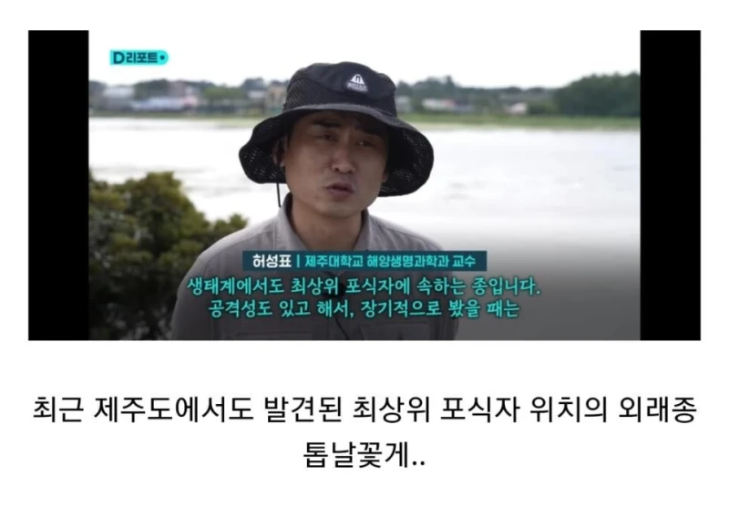 생태계 교란종 근황..jpg