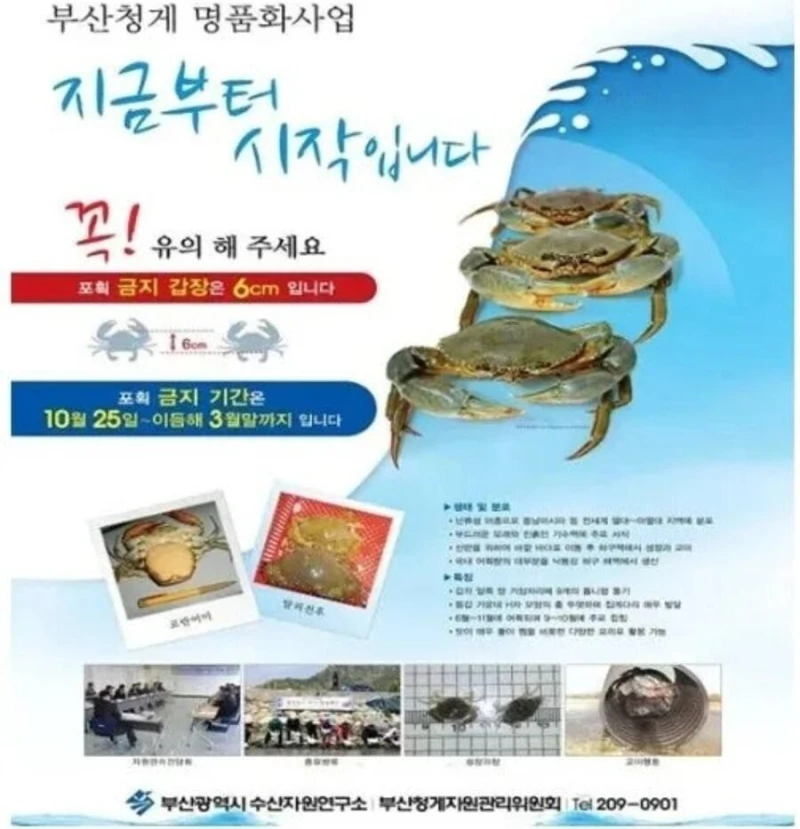 생태계 교란종 근황..jpg-2