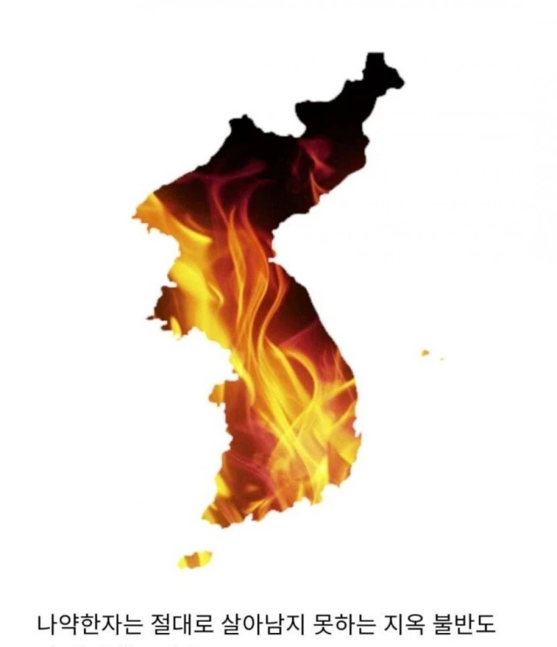 생태계 교란종 근황..jpg-5