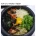 오늘 점심으로 돌솥비빔밥 배달시켰는데 깜짝 놀람