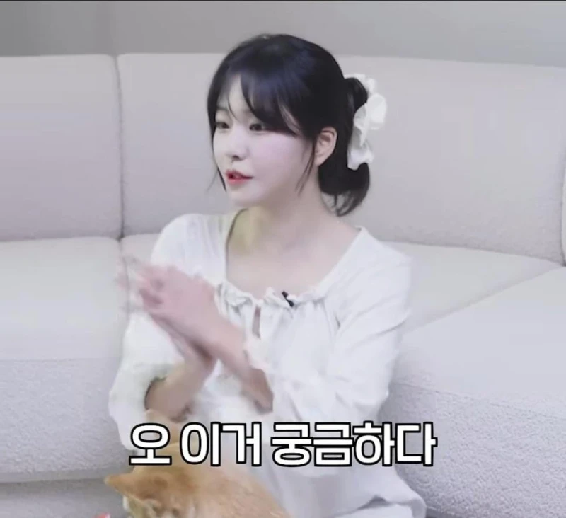 김계란이 뽑은 실물 원탑 1위-2