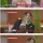 4천만원 시계 플렉스한 래퍼 디스하는 장도연