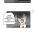 싱글벙글 한국의 버스 정류장 문화