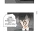 싱글벙글 한국의 버스 정류장 문화