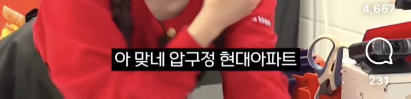 선 넘었다고 욕먹는 중인 압구정 사는 아이들 호구조사-11