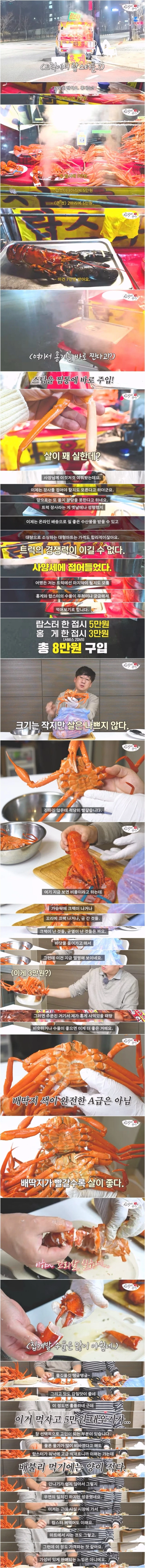 트럭에서 파는 홍게와 랍스터를 사먹어본 결과