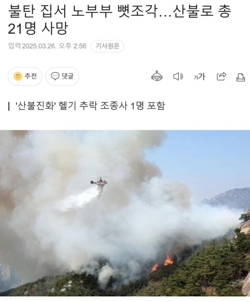 안동 산불 노부부 모두 숨져..아들이 뼛조각 발견해 신고 