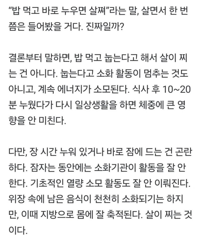밥 먹고 바로 누우면 살찐다? 속설의 진실-2