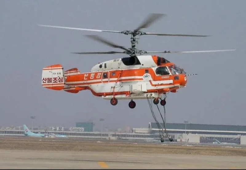 우크라이나 러시아 전쟁 때문에 산불 피해가 더 커진거라 함-2