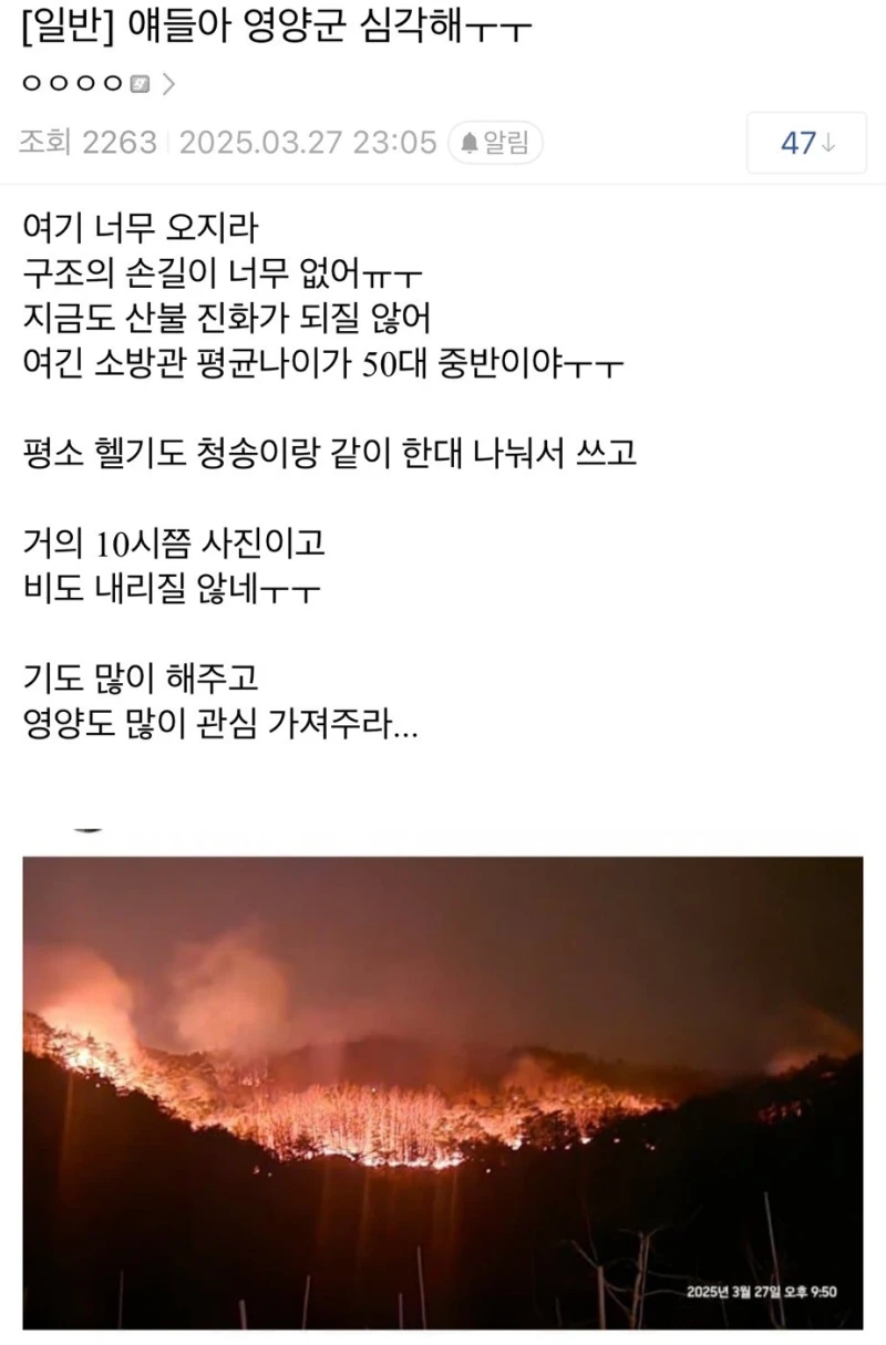 현재 매우 심각하다는 영양 산불