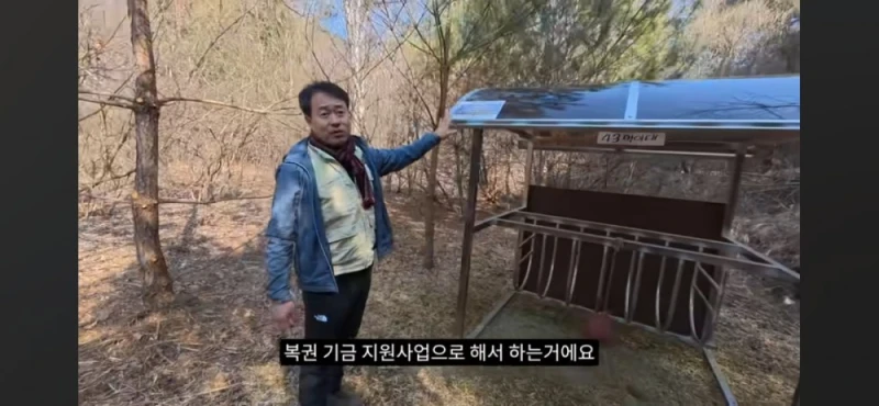 작년 강원도 1m 폭설로 많이 죽은 산양 근황-5