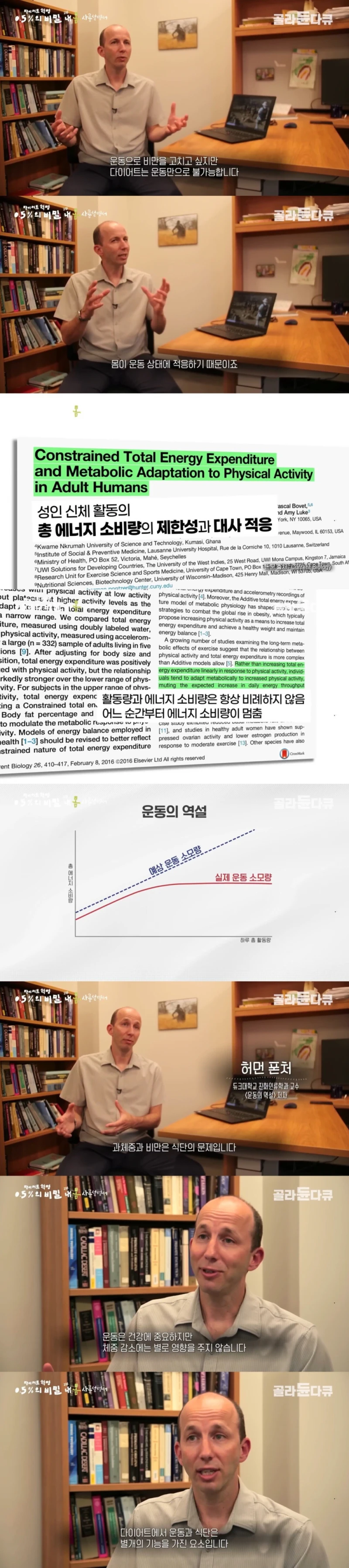 운동으로 살빼기 힘든 이유