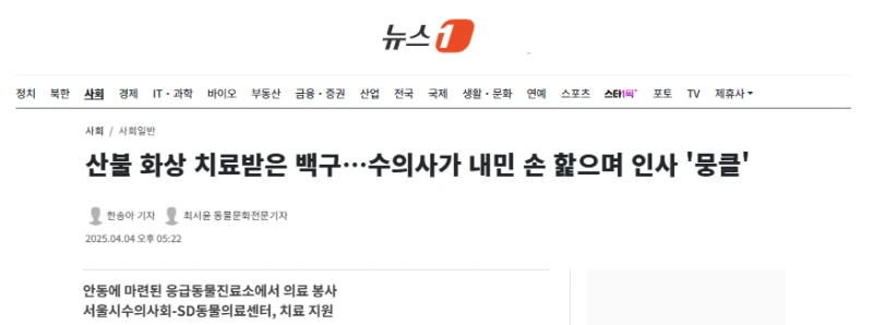 산불 화상 치료받은 백구…수의사가 내민 손 핥으며 인사 '뭉클'-2