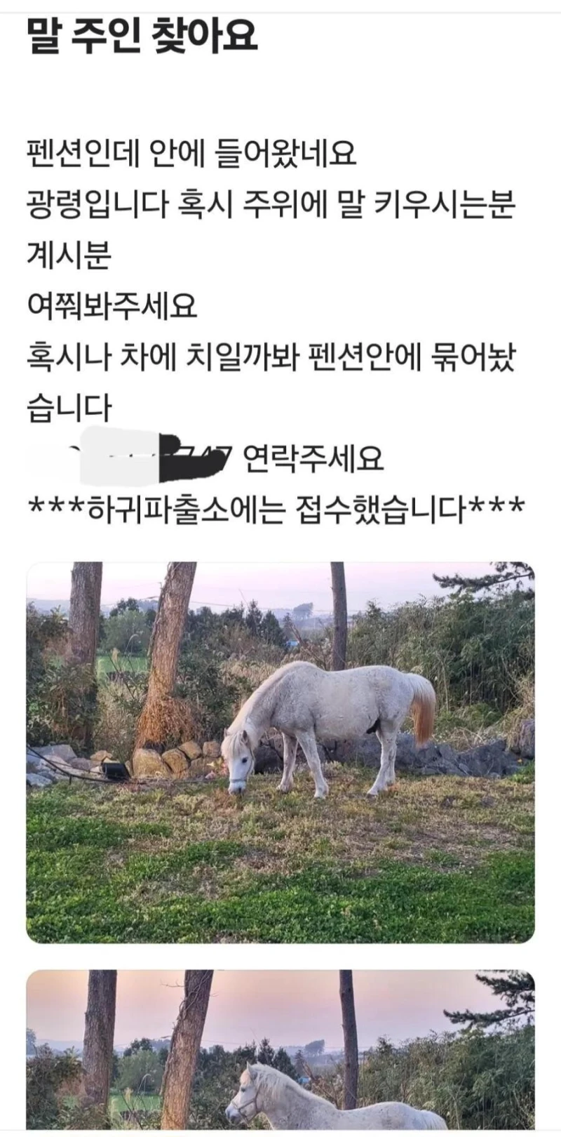 제주도 당근마켓 클라스