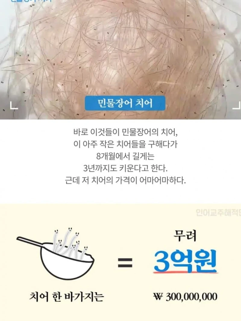 장어 죽는다고 갓길주행한 차량 -2