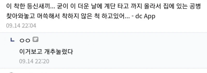 돈 안쓰고 위선떠는 방법을 깨달은 디시인-2