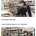 한국에서 쌀 사재기 해가는 일본인 관광객들