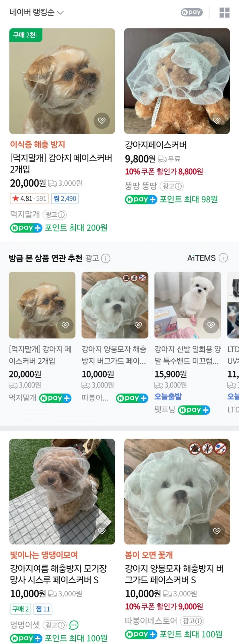 요즘 산책할 때 종종 보이는 강아지 아이템