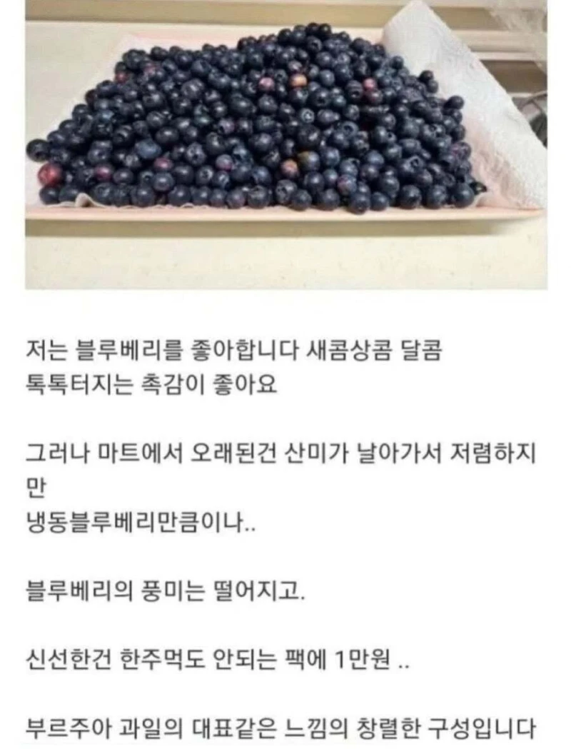 블루베리 서리하고 당당하게 글 올린 사람-2